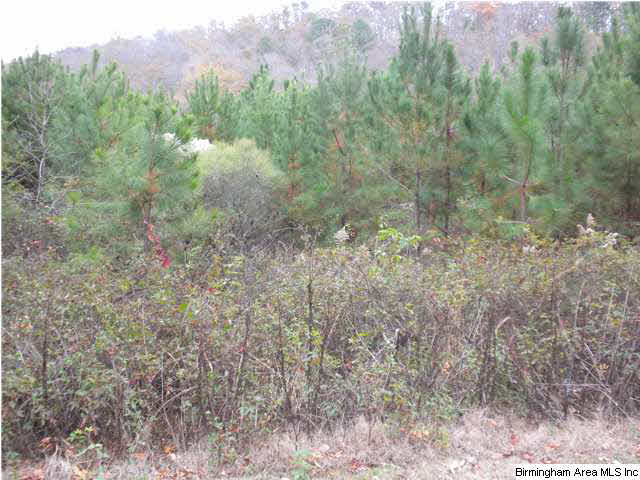 Bluff Ridge Road, Unit 16 Bessemer, AL 35022 - Photo 7 of 11