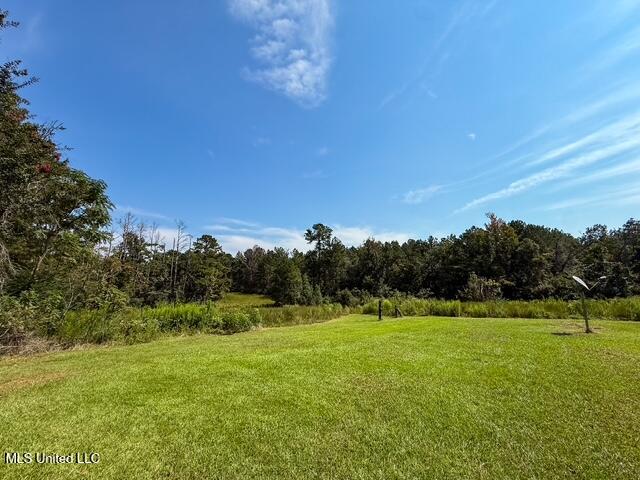 1586 Street Road Liberty, MS 39645 - Photo 2 of 28 IMG_4817