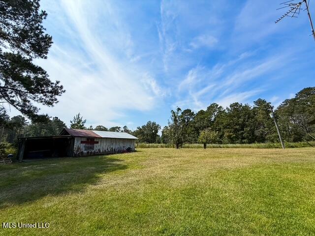 1586 Street Road Liberty, MS 39645 - Photo 25 of 28 IMG_4846