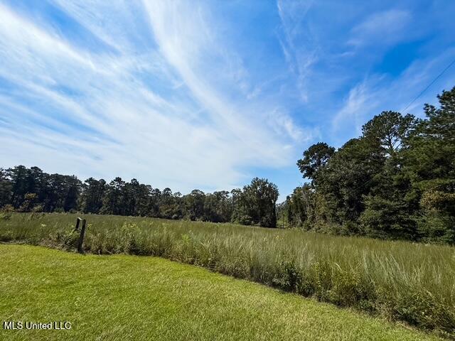 1586 Street Road Liberty, MS 39645 - Photo 26 of 28 IMG_4847