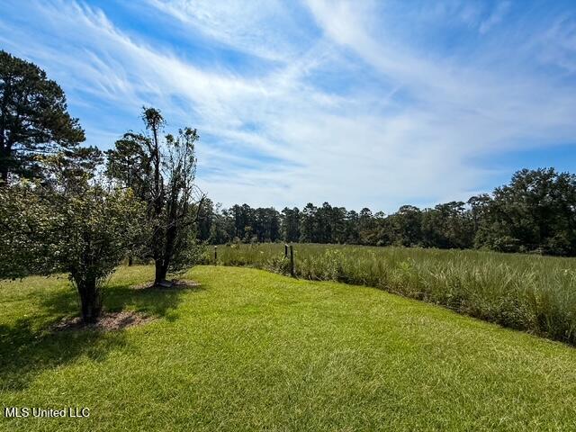 1586 Street Road Liberty, MS 39645 - Photo 27 of 28 IMG_4849