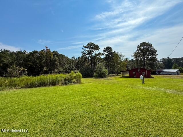 1586 Street Road Liberty, MS 39645 - Photo 3 of 28 IMG_4818
