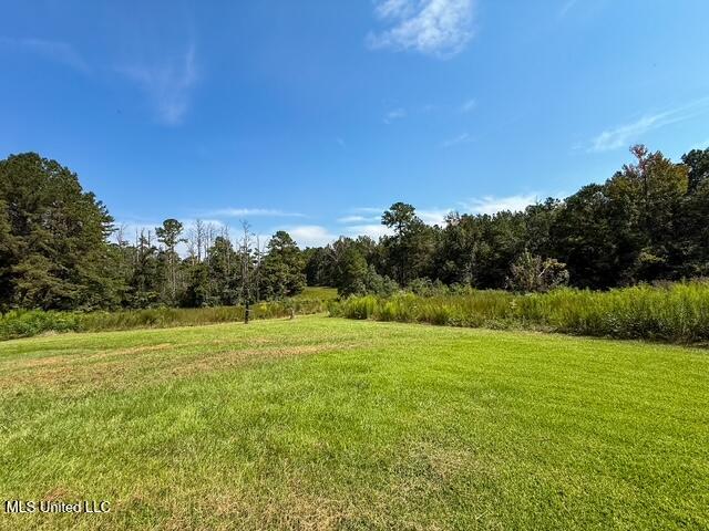 1586 Street Road Liberty, MS 39645 - Photo 4 of 28 IMG_4819