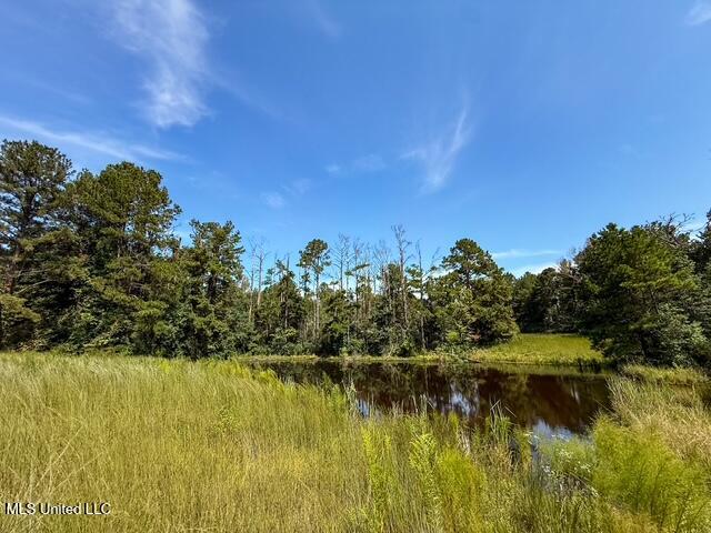 1586 Street Road Liberty, MS 39645 - Photo 6 of 28 IMG_4822