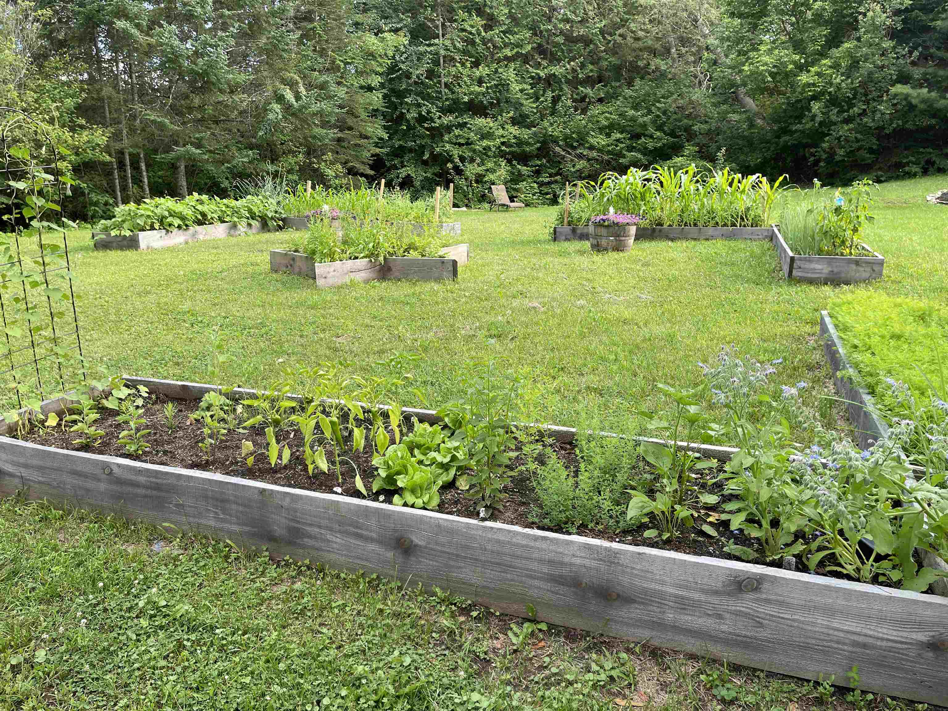 45 Farrow Farm Road Peacham, VT 05821 - Photo 24 of 40