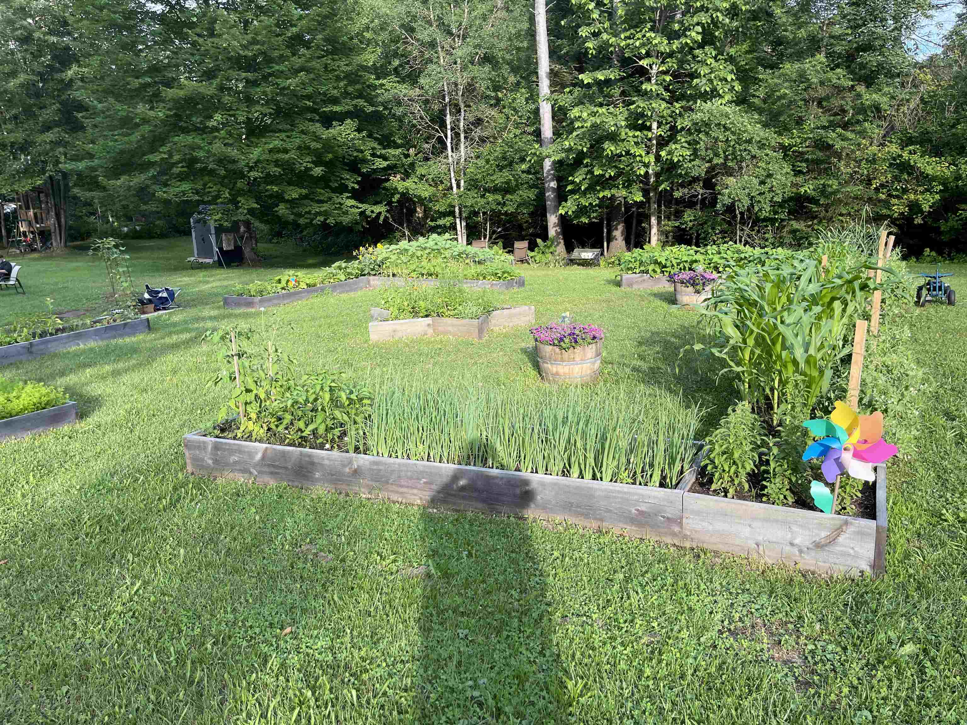 45 Farrow Farm Road Peacham, VT 05821 - Photo 28 of 40