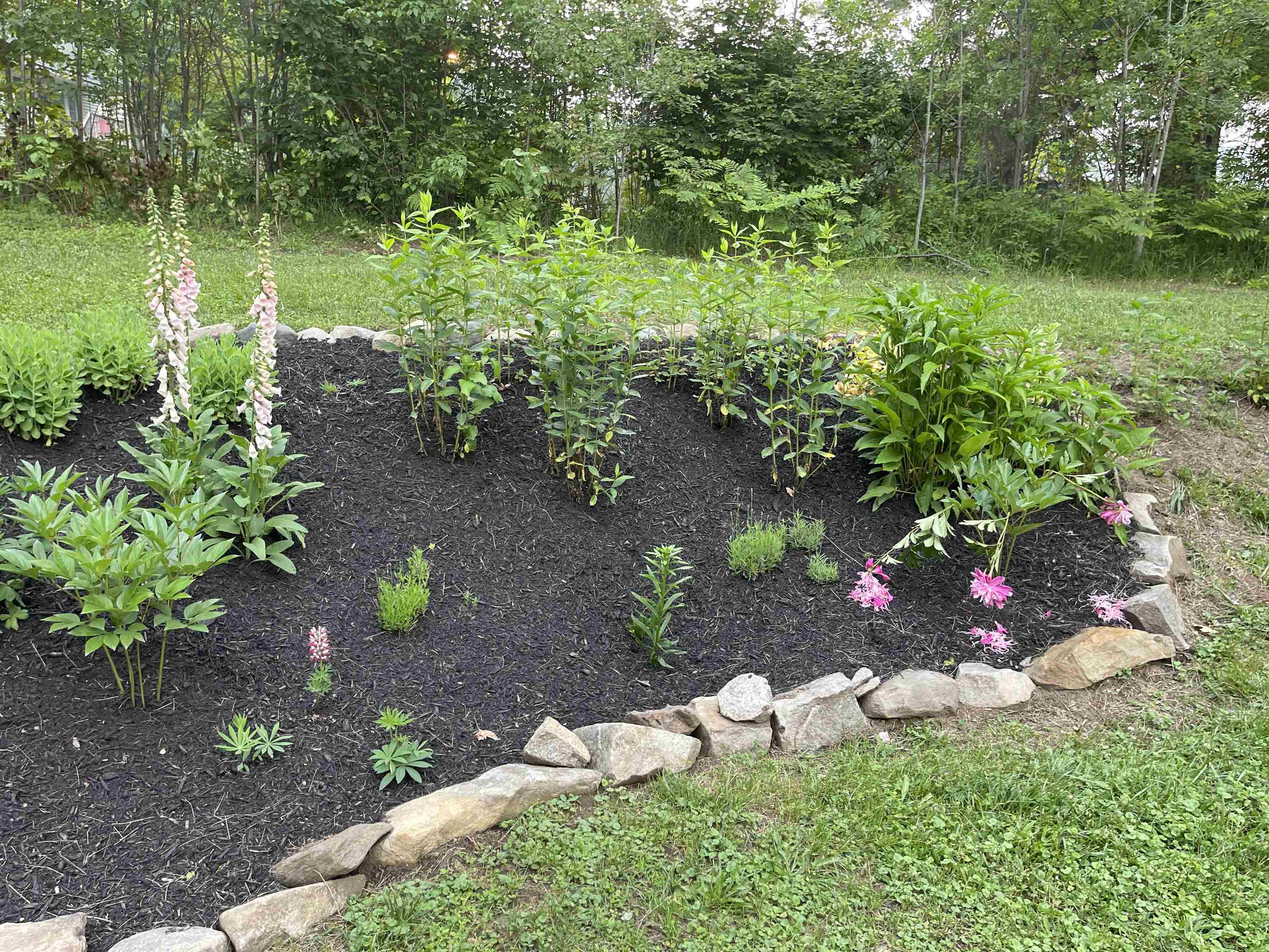 45 Farrow Farm Road Peacham, VT 05821 - Photo 30 of 40