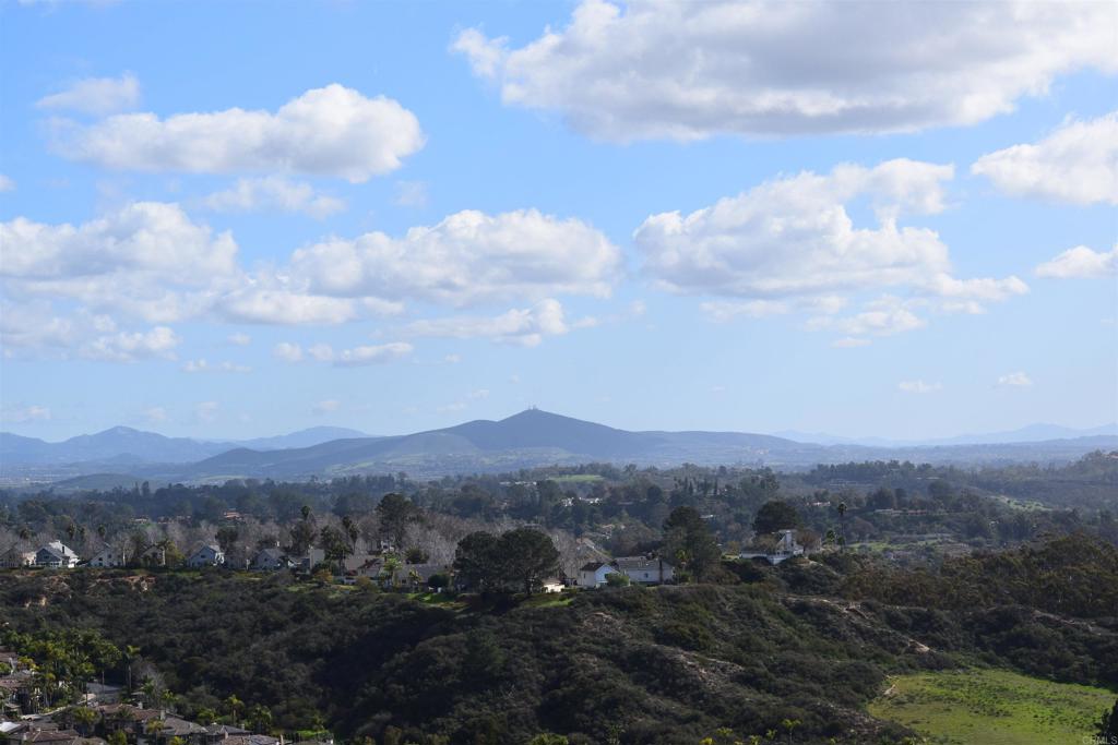 1575 Crest Drive Encinitas, CA 92024 - Photo 39 of 52 a view of a city with lush green forest