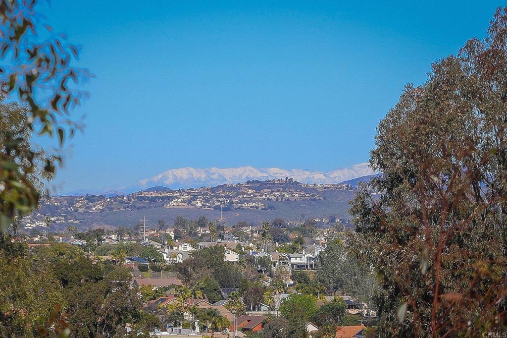 1575 Crest Drive Encinitas, CA 92024 - Photo 51 of 52 a view of a city