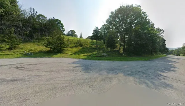 a view of a yard with plants and trees