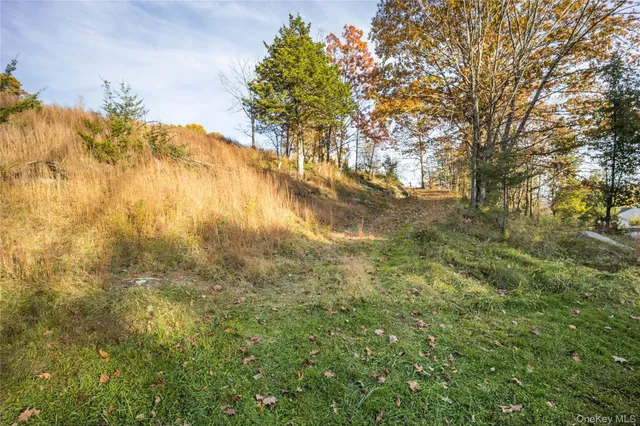 a view of yard from a tree