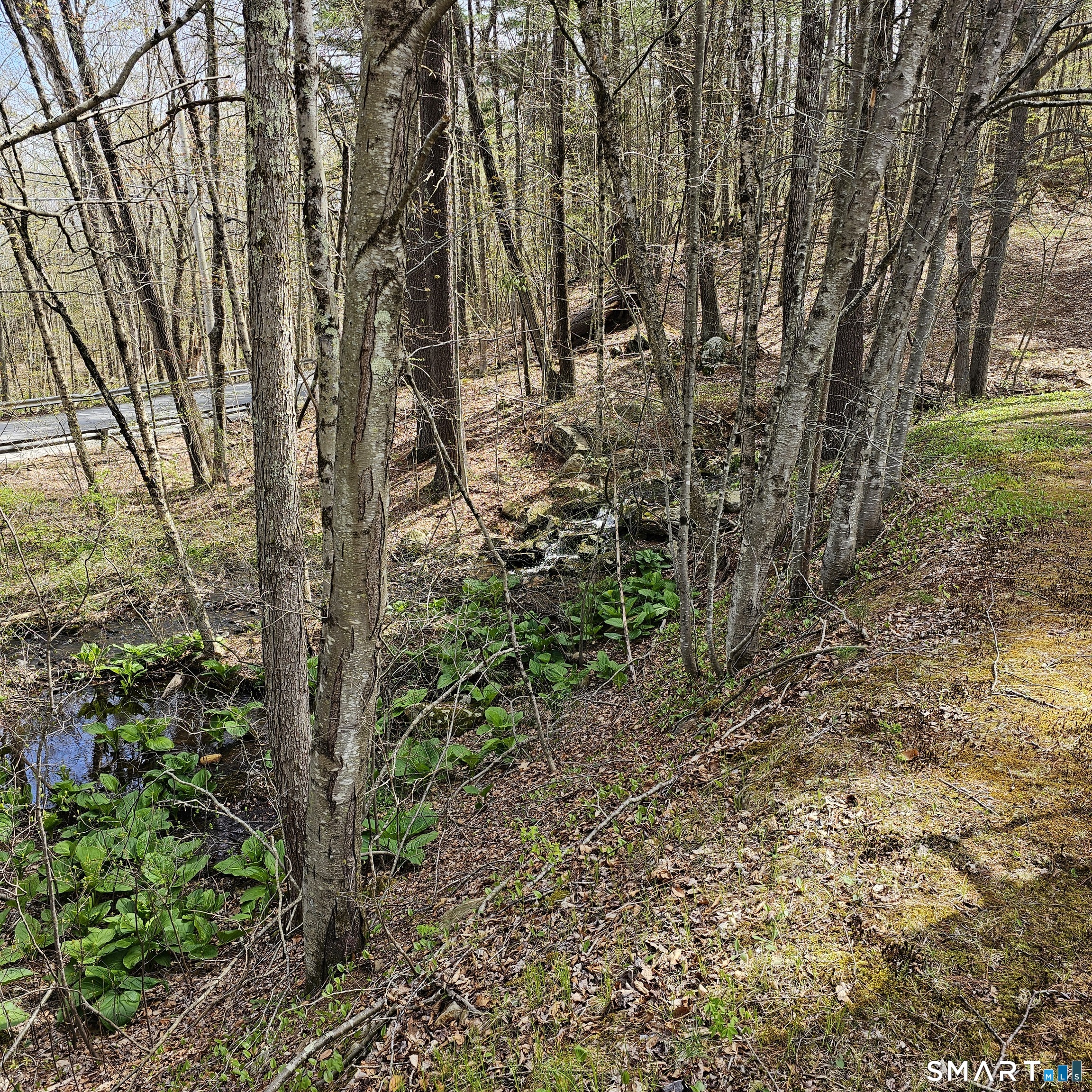 Jared Sparks Road Willington, CT 06279 - Photo 13 of 13 a view of a yard with plants and trees