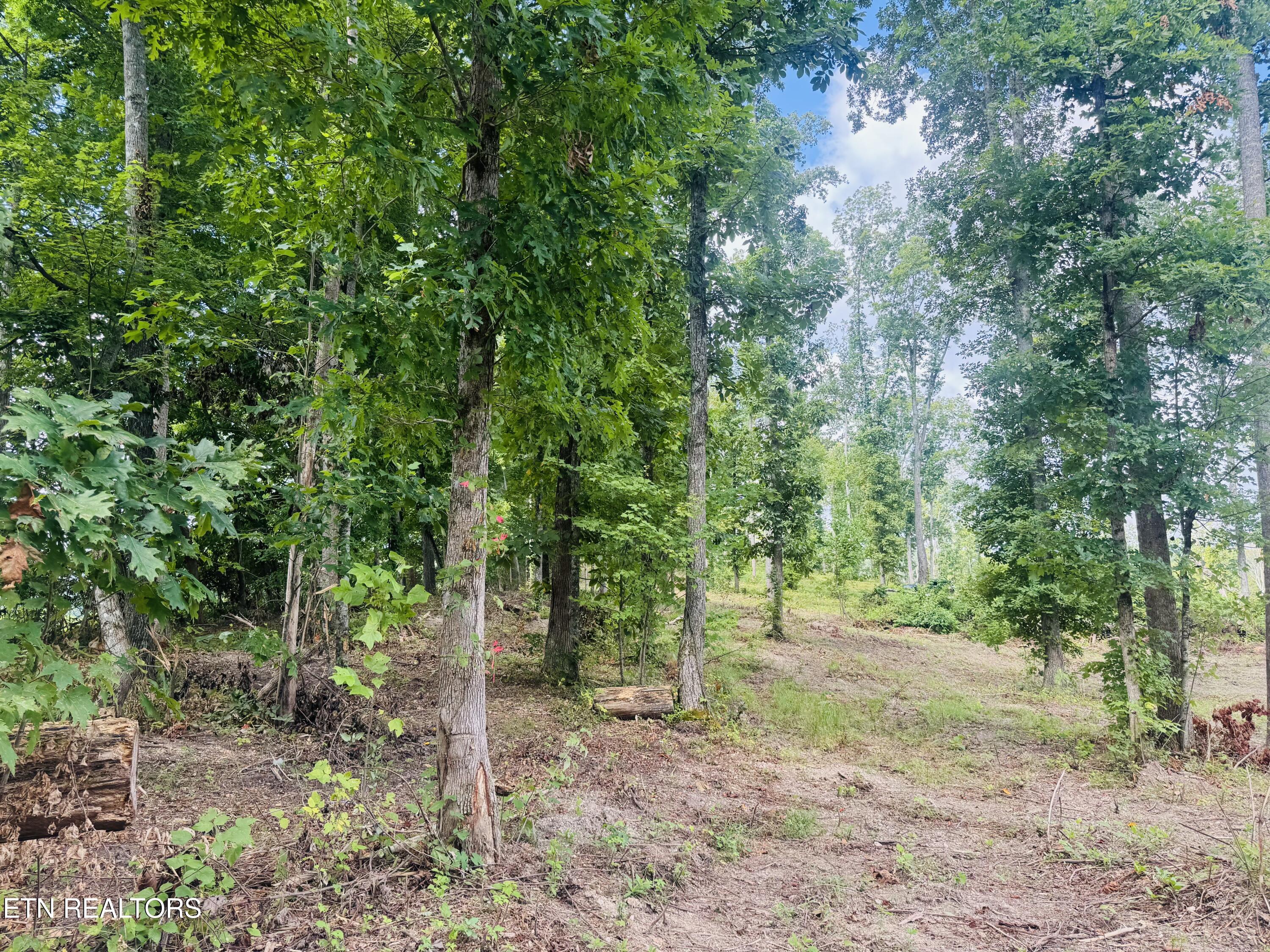 2 Mill Creek Road Andersonville, TN 37705 - Photo 10 of 29 IMG_0959