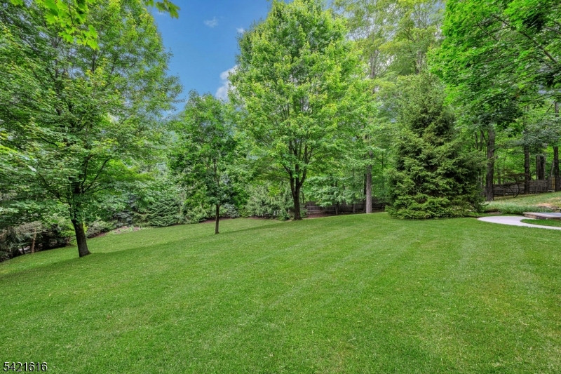 6 Wildlife Run Boonton, NJ 07005 - Photo 43 of 48