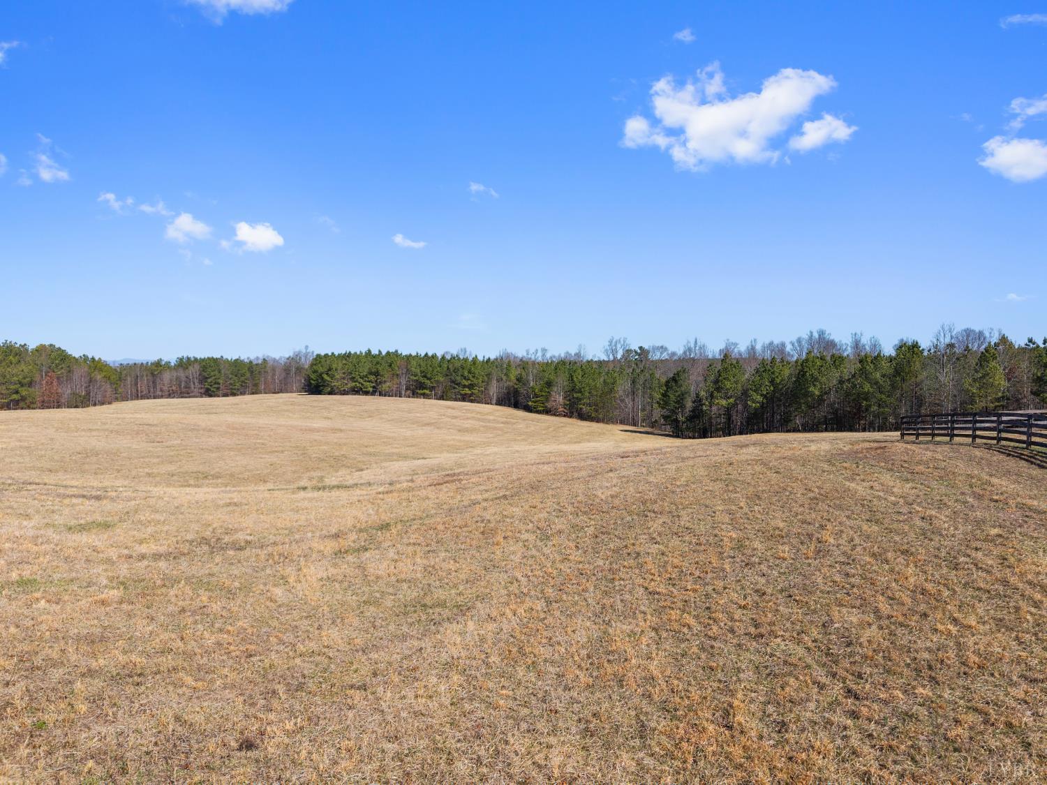 1433 Piney Mountain Road Appomattox, VA 24522 - Photo 56 of 80