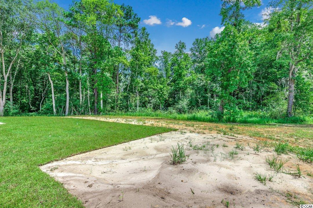 7730 Hunting Swamp Road Conway, SC 29527 - Photo 23 of 24 Gallery Image 23
