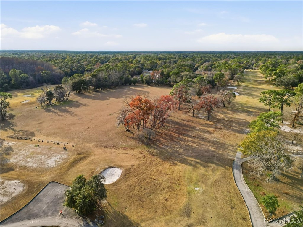 2 Nephthytis Court Homosassa, FL 34446 - Photo 21 of 21