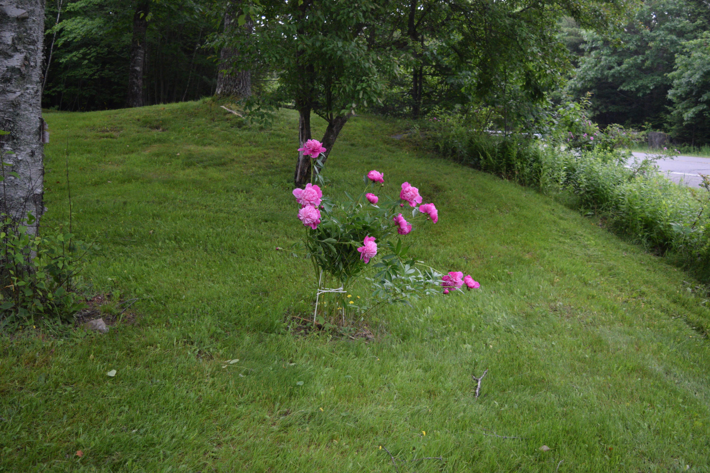 175 Main Road Abbot, ME 04406 - Photo 30 of 31 DSC_1482