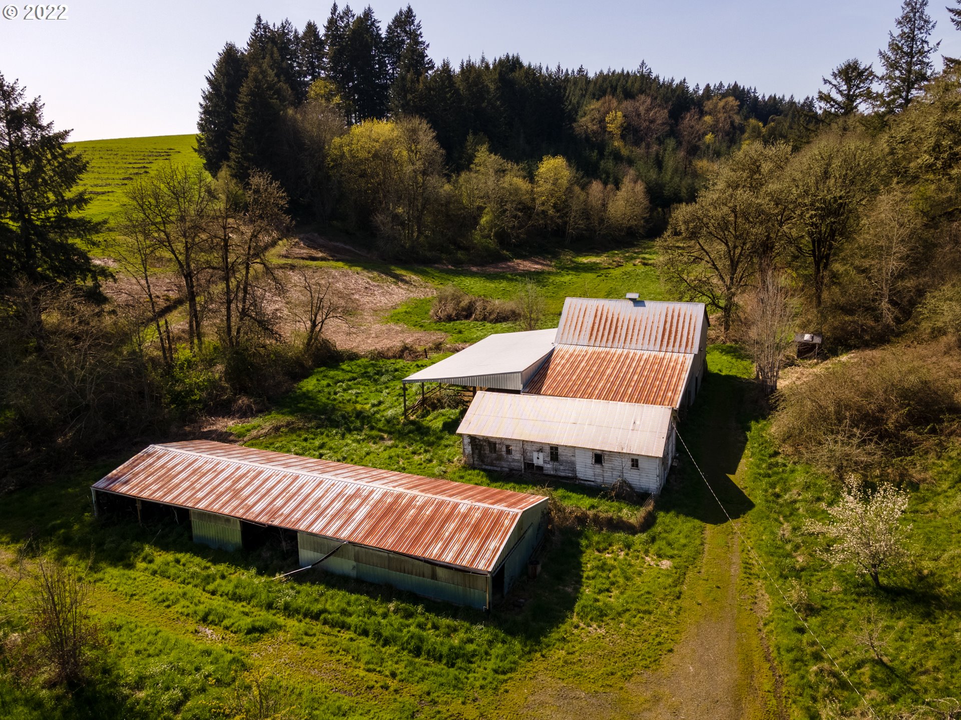 20091 Northeast Laughlin Road Yamhill, OR 97148 - Photo 11 of 26 a view of a back yard of the house
