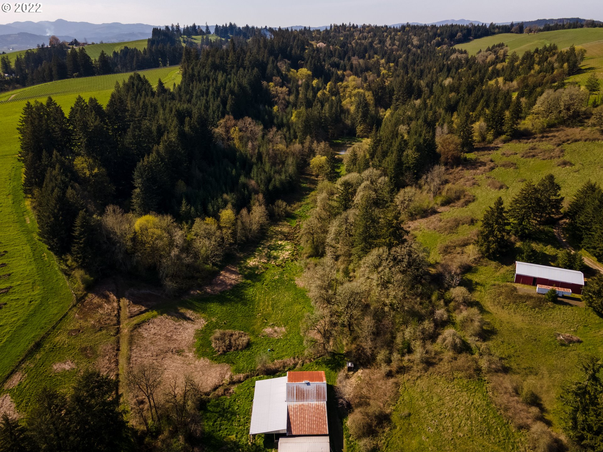 20091 Northeast Laughlin Road Yamhill, OR 97148 - Photo 21 of 26 a view of a back yard of the house and green space