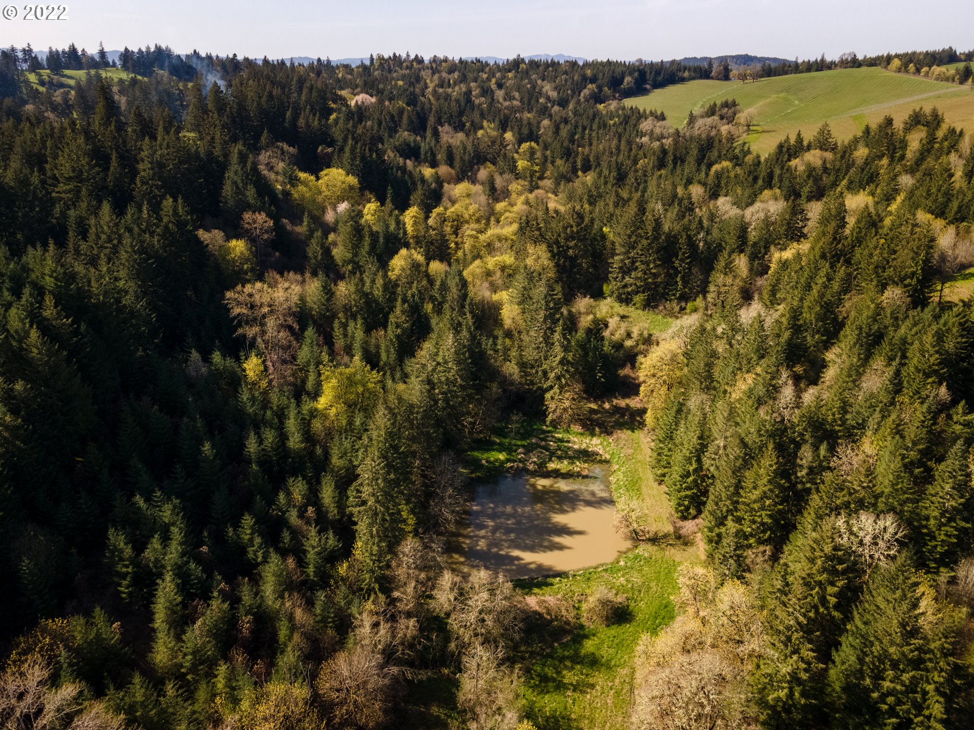 20091 Northeast Laughlin Road Yamhill, OR 97148 - Photo 22 of 26 a view of lake view