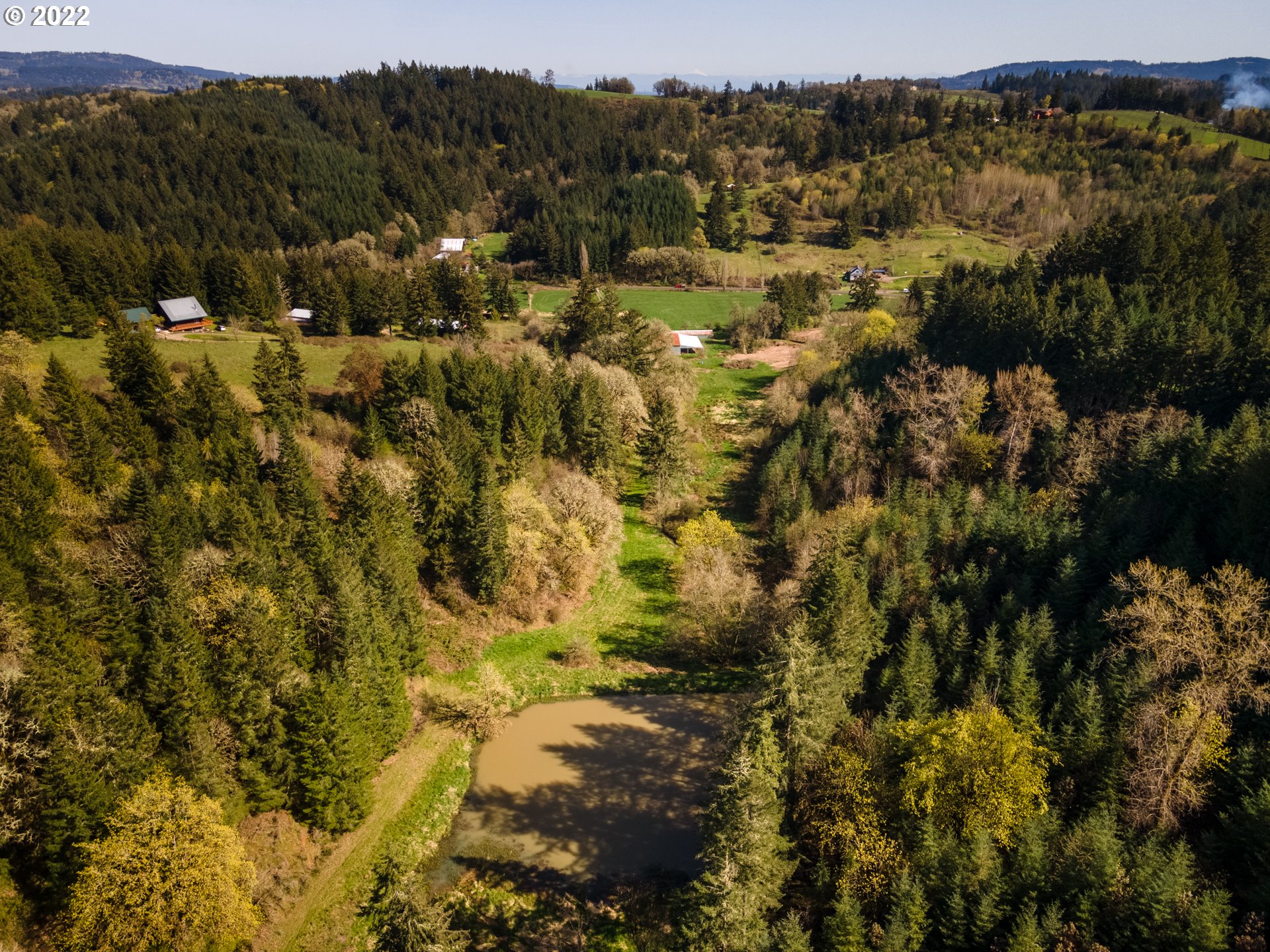 20091 Northeast Laughlin Road Yamhill, OR 97148 - Photo 23 of 26 a view of a lot of trees and mountains