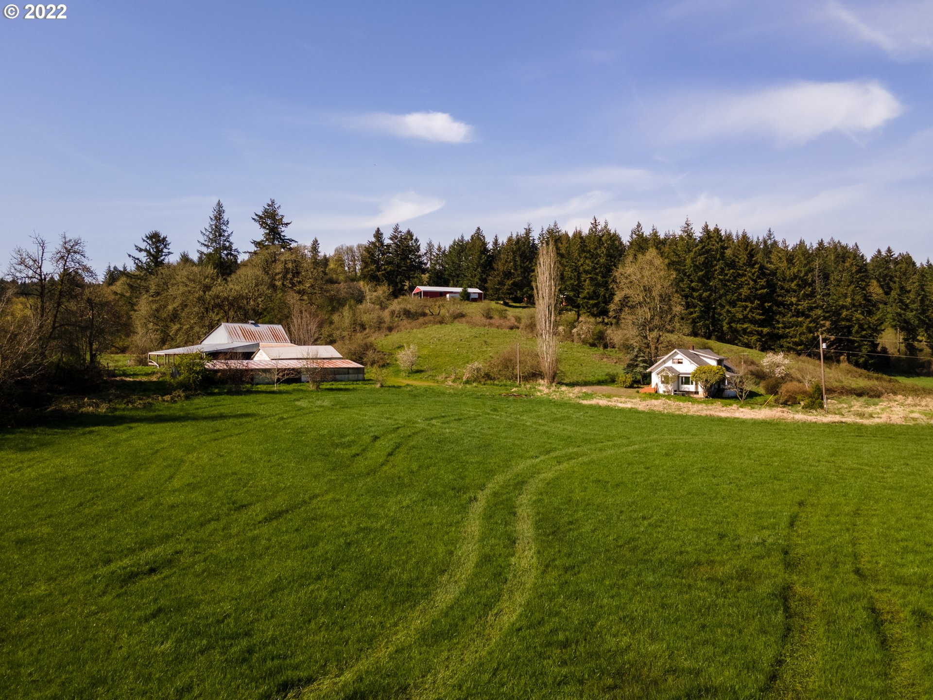 20091 Northeast Laughlin Road Yamhill, OR 97148 - Photo 4 of 26 a front view of a house with a garden and trees