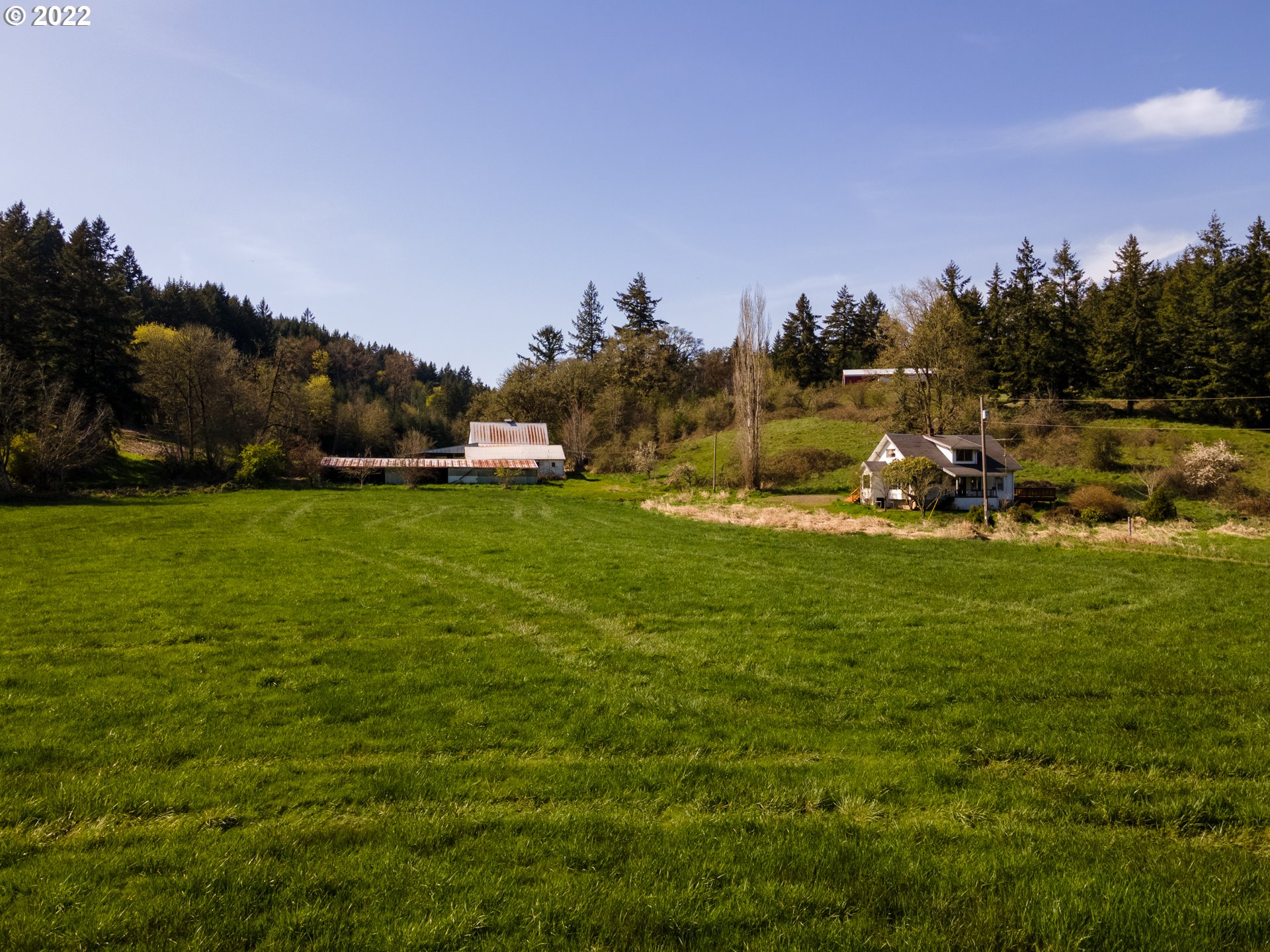 20091 Northeast Laughlin Road Yamhill, OR 97148 - Photo 5 of 26 a view of a golf course with a lake