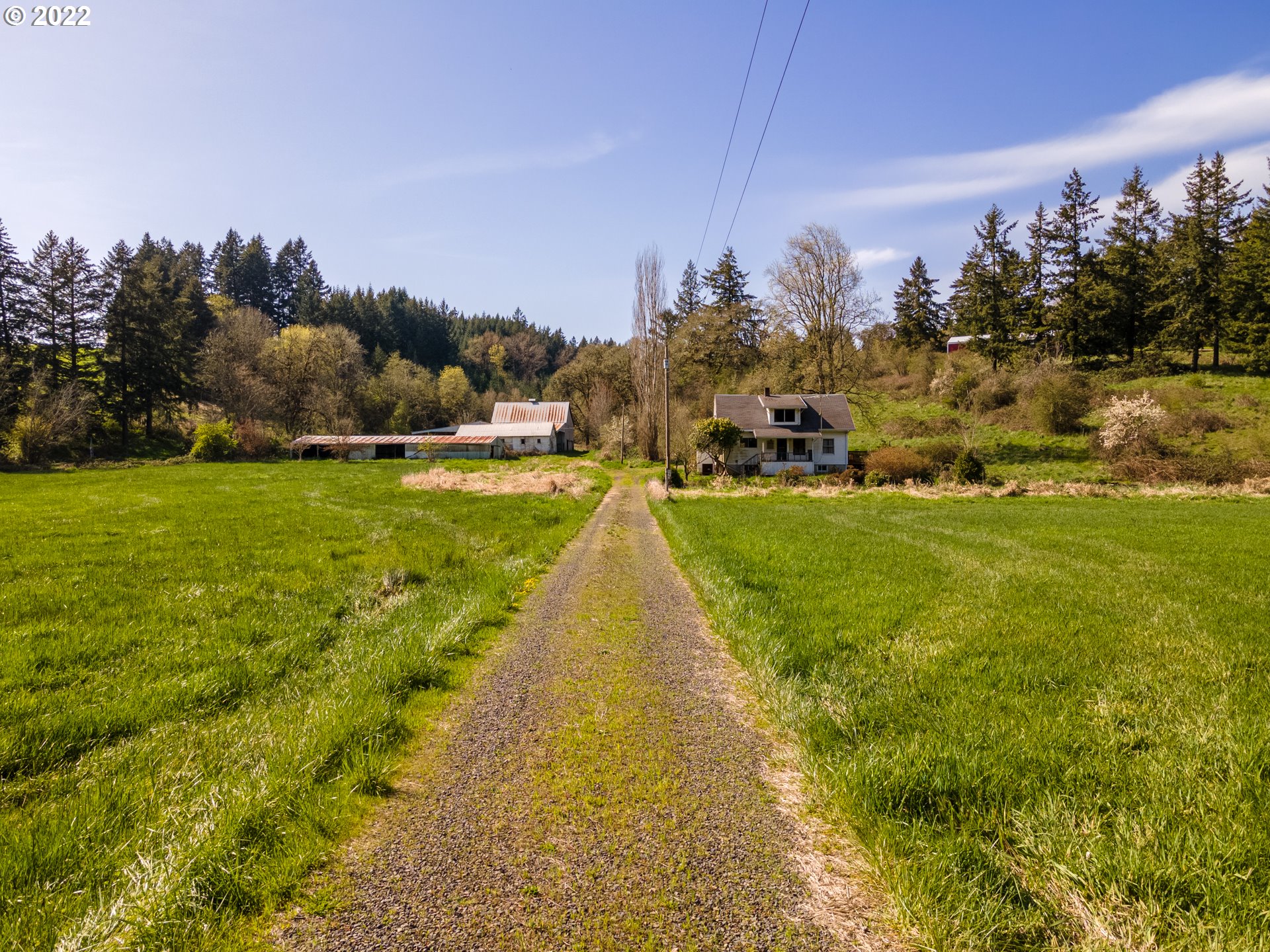 20091 Northeast Laughlin Road Yamhill, OR 97148 - Photo 6 of 26 a view of a lake with houses in the back