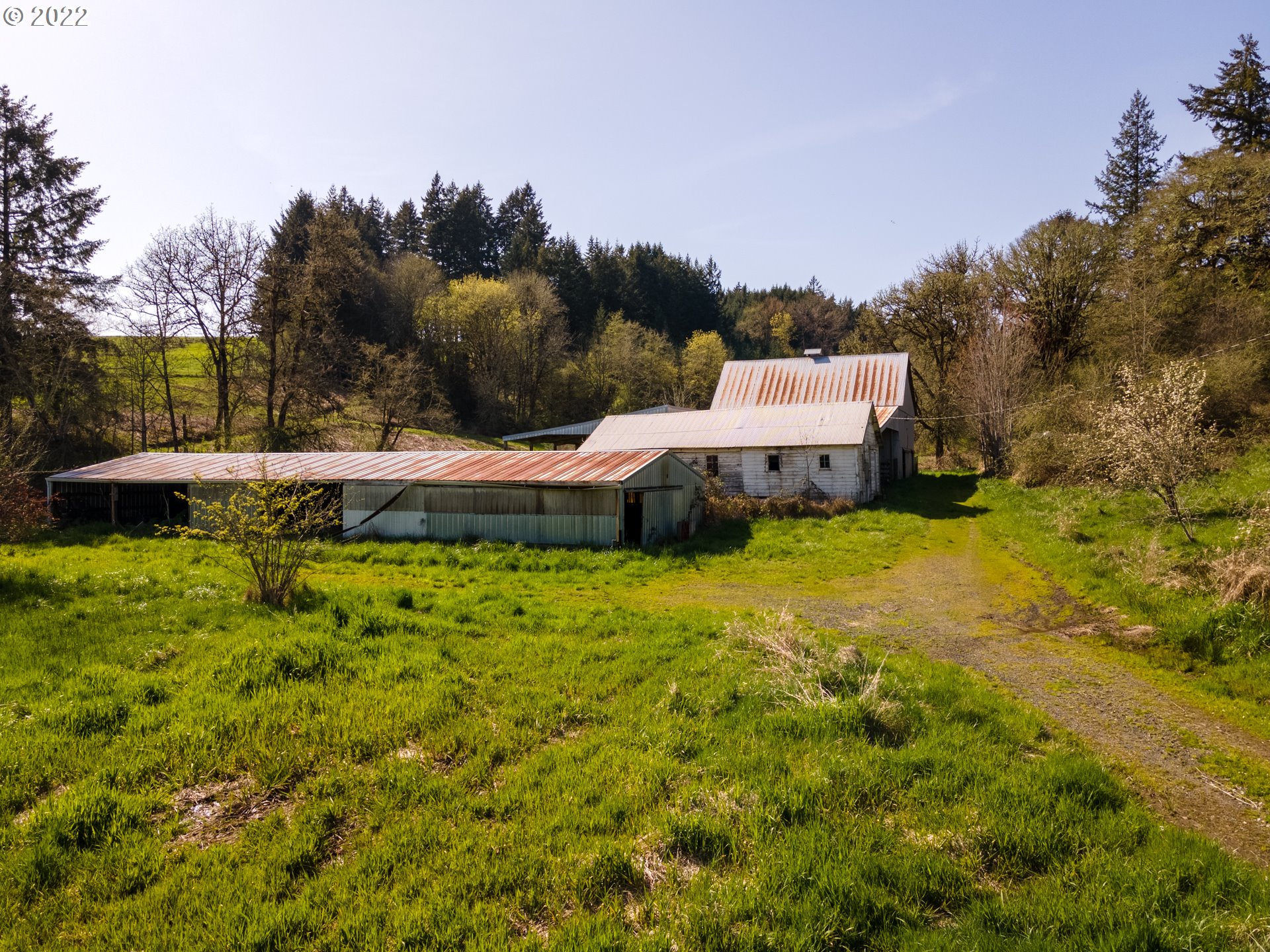 20091 Northeast Laughlin Road Yamhill, OR 97148 - Photo 10 of 26 a view of a swimming pool with a yard