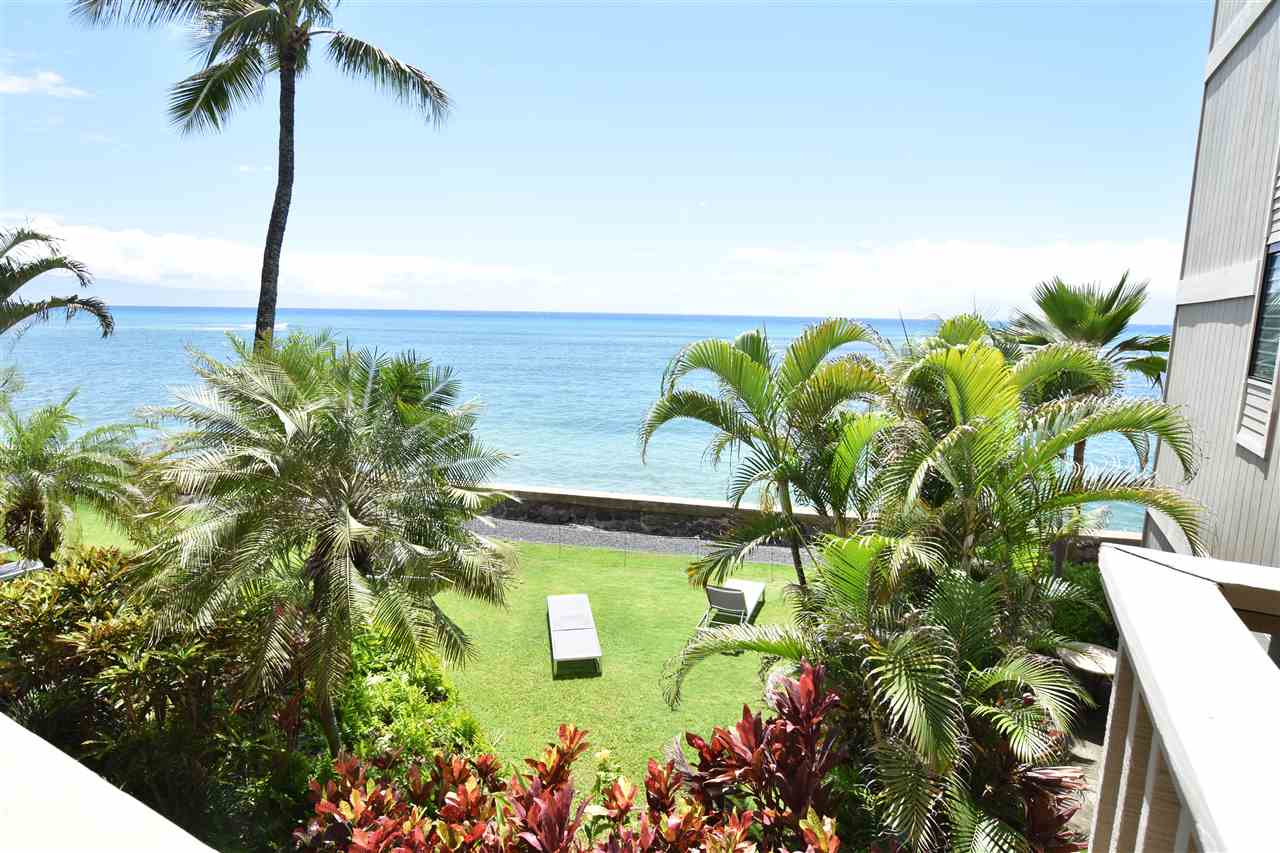 4435 Lower Honoapiilani Road, Unit 204 Lahaina, HI 96761 - Photo 2 of 23 a close up of a plant