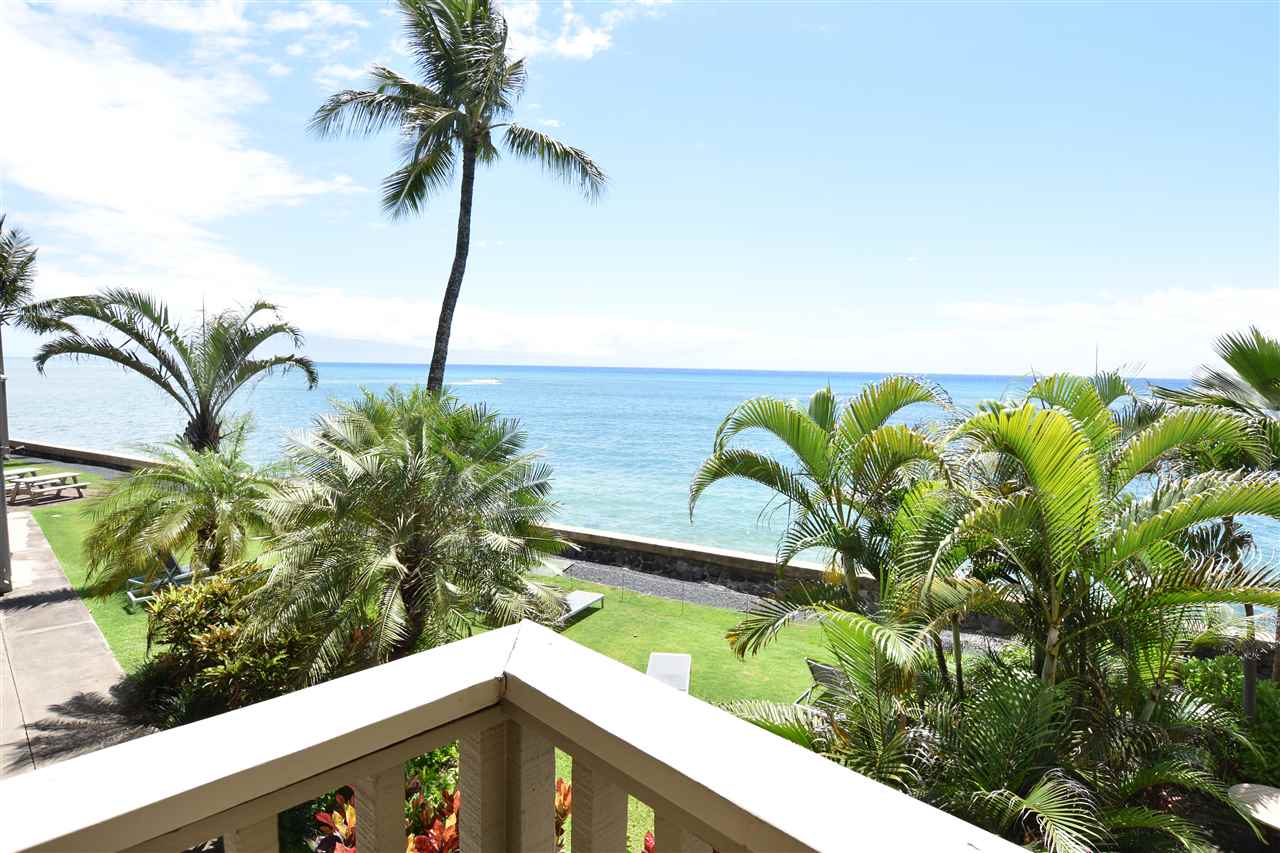 4435 Lower Honoapiilani Road, Unit 204 Lahaina, HI 96761 - Photo 3 of 23 a close up of a plant in a garden
