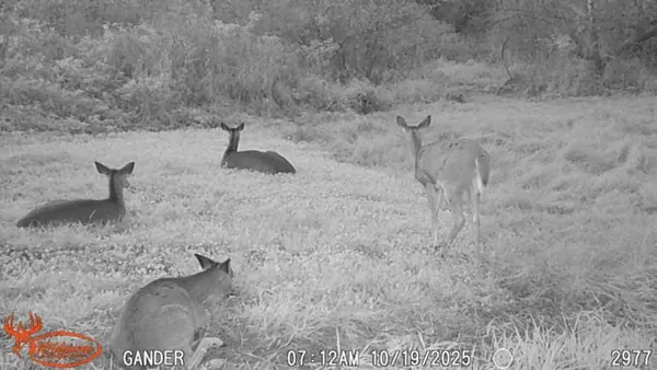 $1,050,000 | S9025 Lowes Creek Road, Eleva, WI 54738