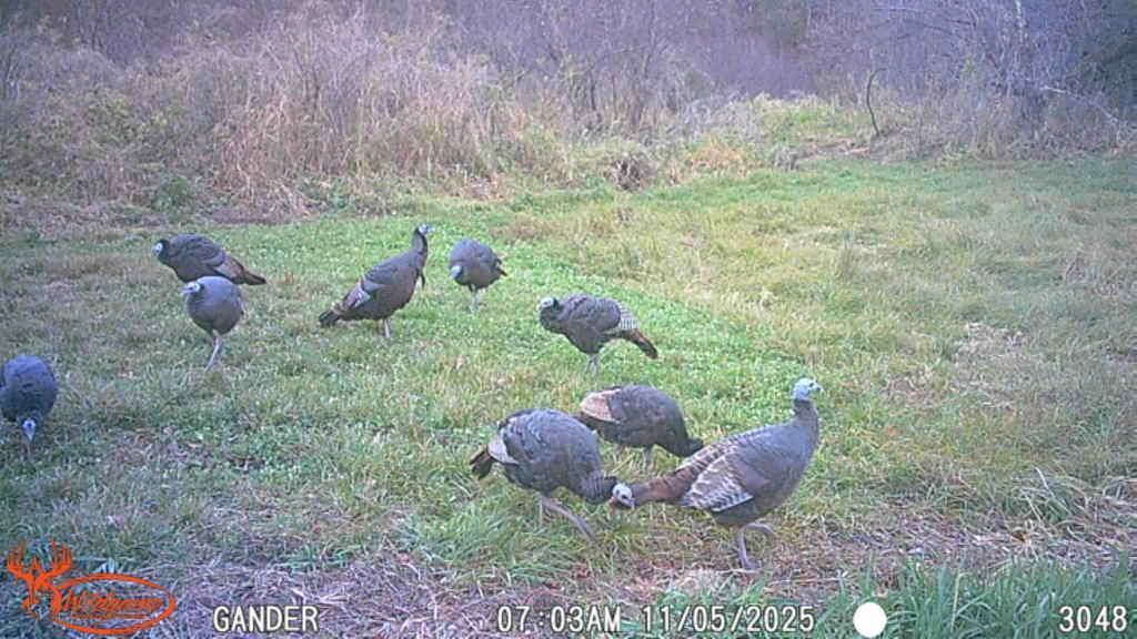 S9025 Lowes Creek Road Eleva, WI 54738 - Photo 52 of 53