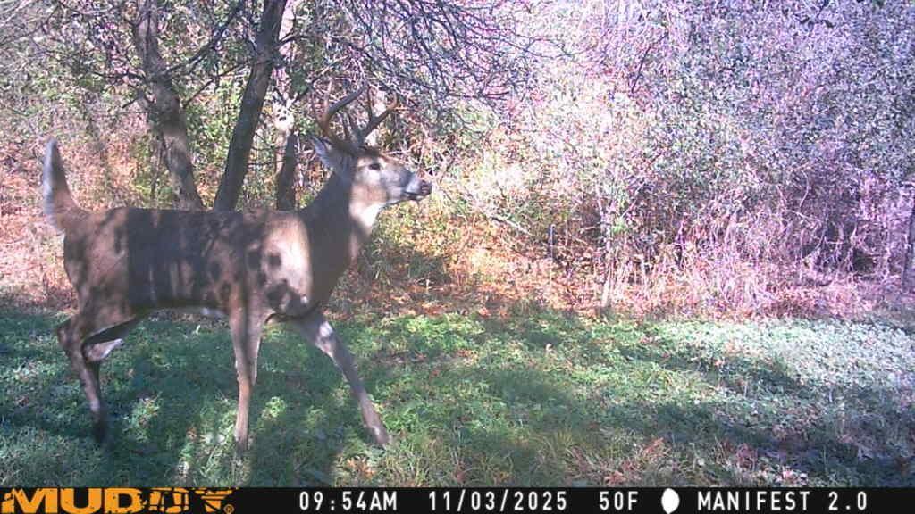 S9025 Lowes Creek Road Eleva, WI 54738 - Photo 53 of 53