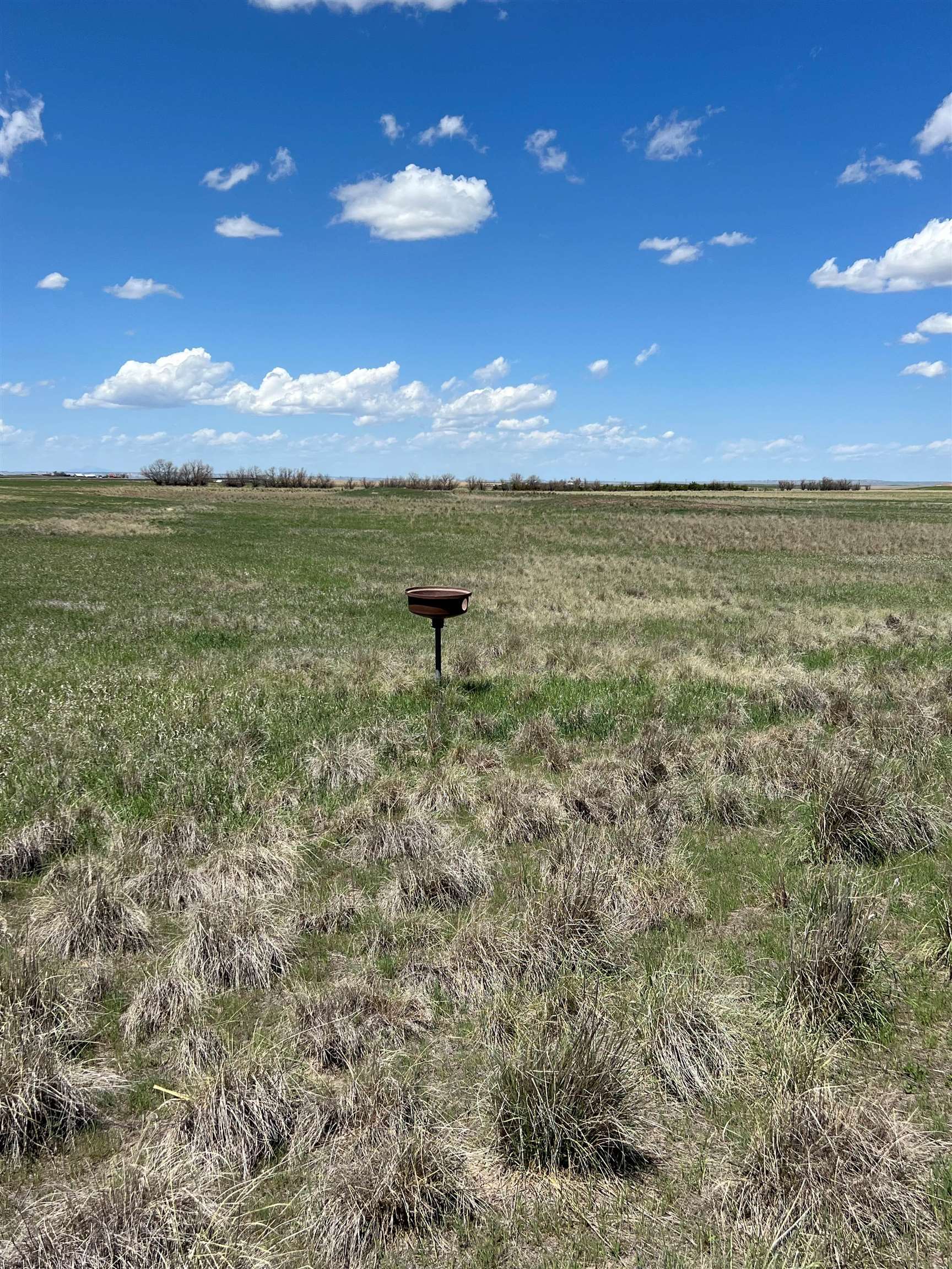 4686 Road 37 Yoder, WY 82244 - Photo 18 of 22