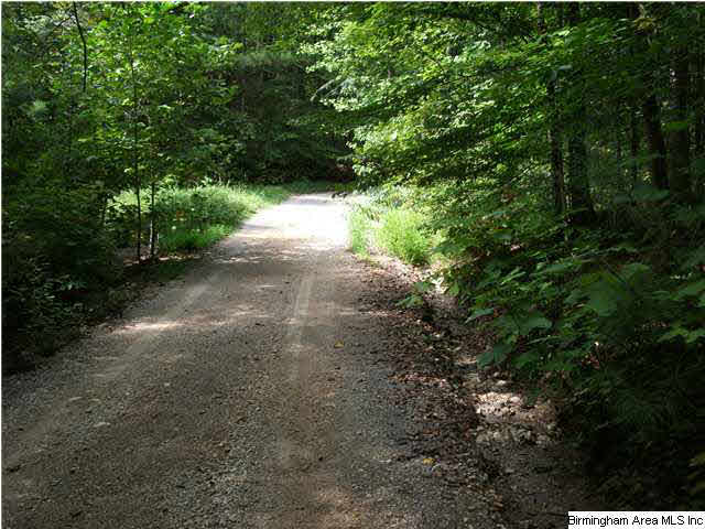 777 Clayton Cove Road, Unit 33 AC Pinson, AL 35126 - Photo 6 of 20