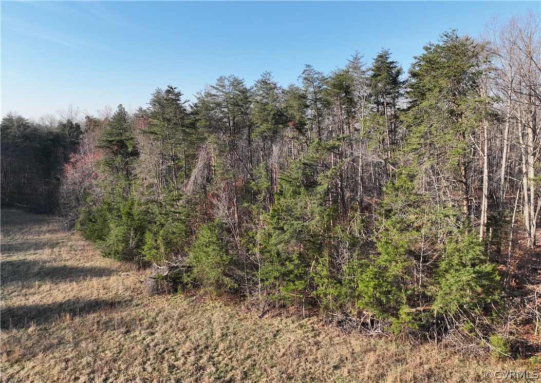 89-ac Germantown Road Keysville, VA 23947 - Photo 6 of 28 Gallery Image 6