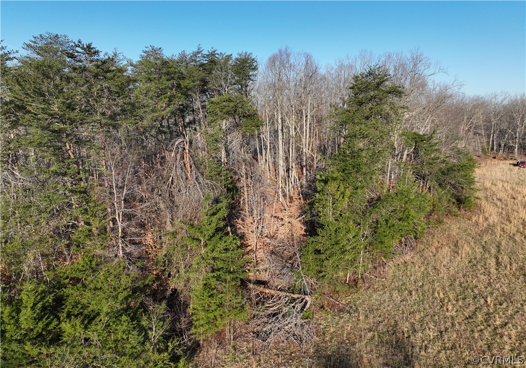 89-ac Germantown Road Keysville, VA 23947 - Photo 8 of 28 Gallery Image 8