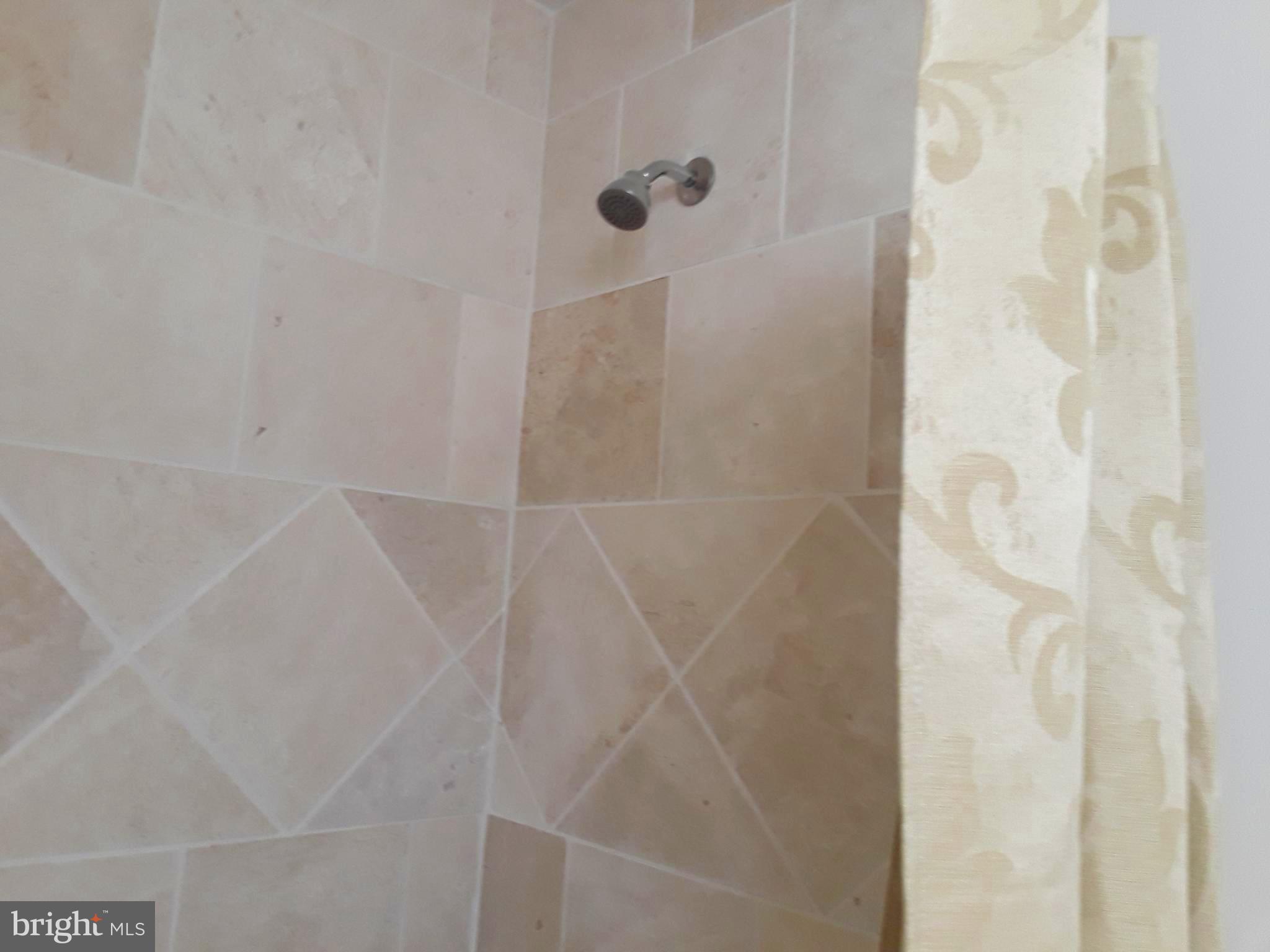 13840 Union Church Road Sumerduck, VA 22742 - Photo 22 of 30 full bath shower/tub