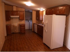 381 Dog Walk Road Greeneville, TN 37745 - Photo 4 of 9 Kitchen