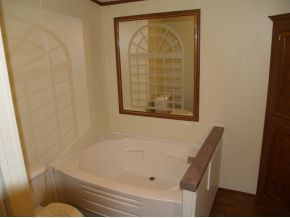 381 Dog Walk Road Greeneville, TN 37745 - Photo 6 of 9 Master Bathroom