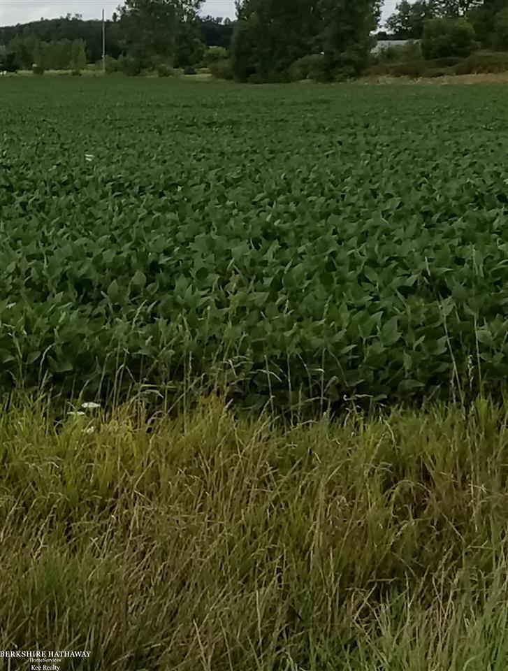 0 Sharrard Road, Unit LOT D Allenton, MI 48002 - Photo 2 of 5