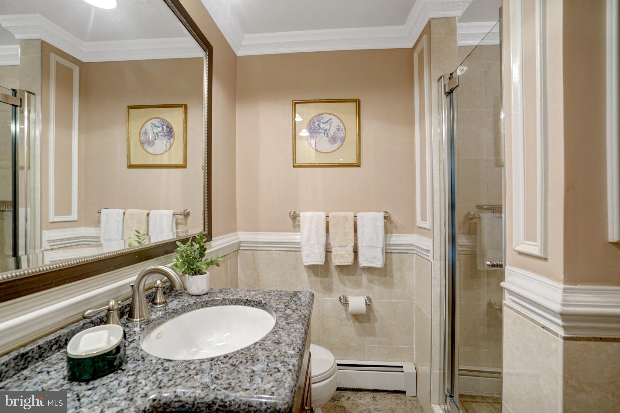 1812 A Birch Road McLean, VA 22101 - Photo 38 of 59 Elegant bathroom with modern finishes.