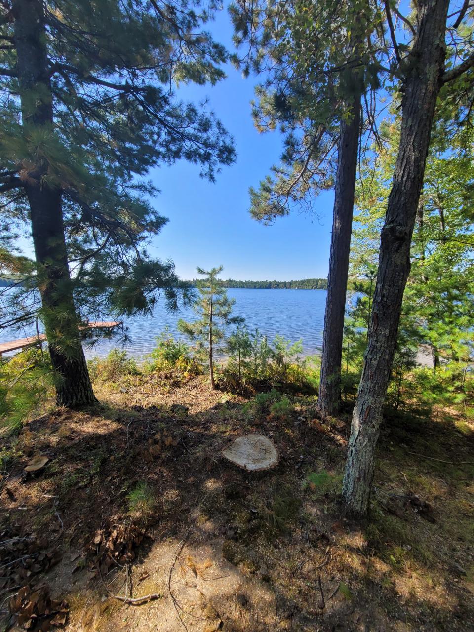1635 West Carpenter Lake Road Eagle River, WI 54521 - Photo 19 of 49 Gallery Image 19