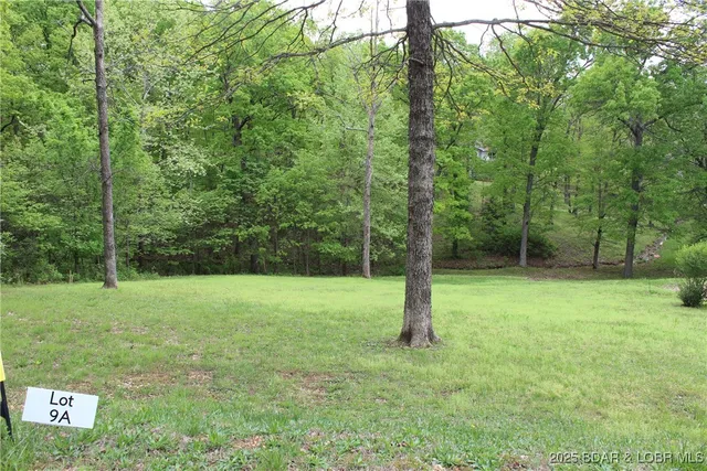 $15,000 | Lot 9 Pinkie Lane, Gravois Mills, MO 65037