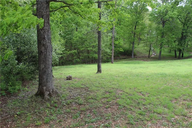 $15,000 | Lot 9 Pinkie Lane, Gravois Mills, MO 65037