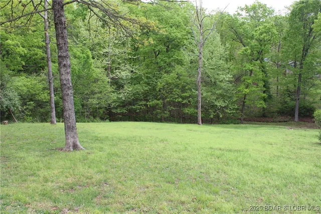 $15,000 | Lot 9 Pinkie Lane, Gravois Mills, MO 65037