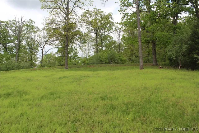 $15,000 | Lot 9 Pinkie Lane, Gravois Mills, MO 65037