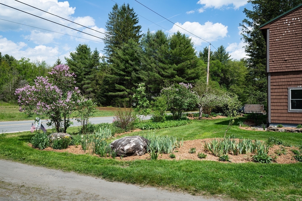 425 Dingle Road Worthington, MA 01098 - Photo 20 of 32 a view of a garden with large trees